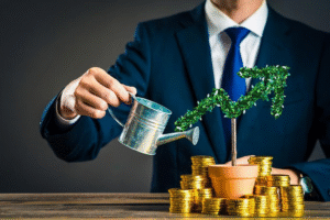Wealth Creation in Oman